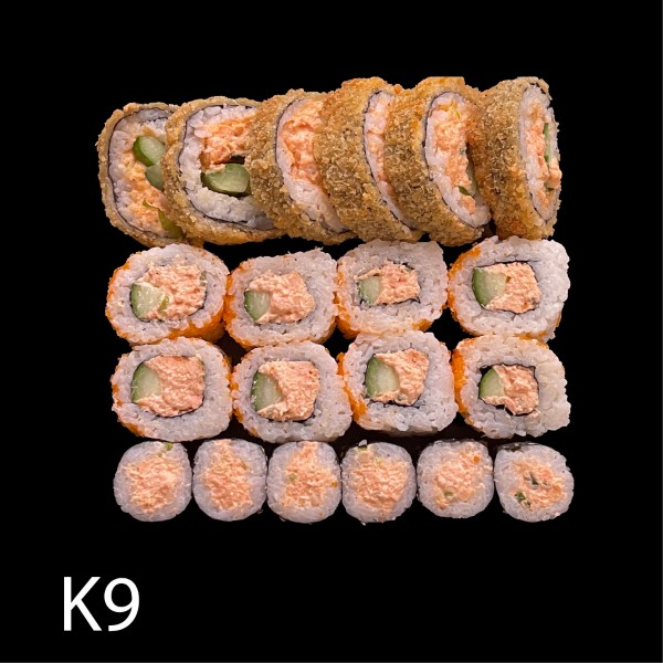 K9. Salmon Menü